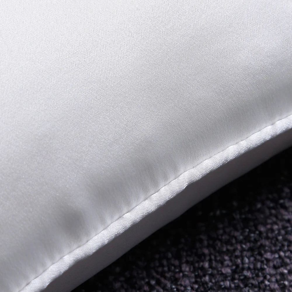 Pure Natural Silk Filled Pillow and Cover