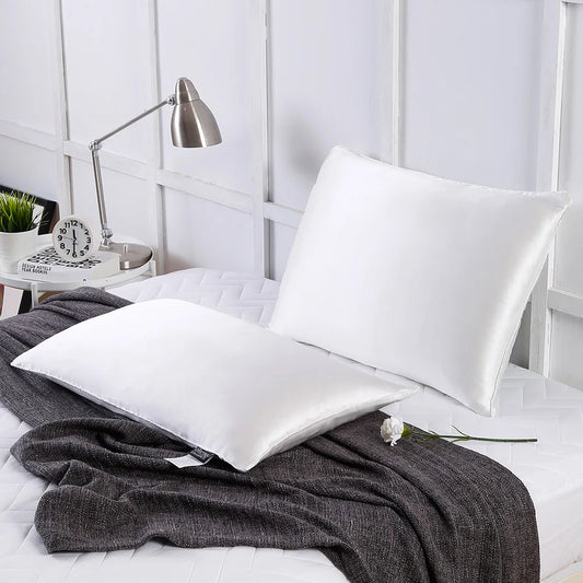 Pure Natural Silk Filled Pillow and Cover