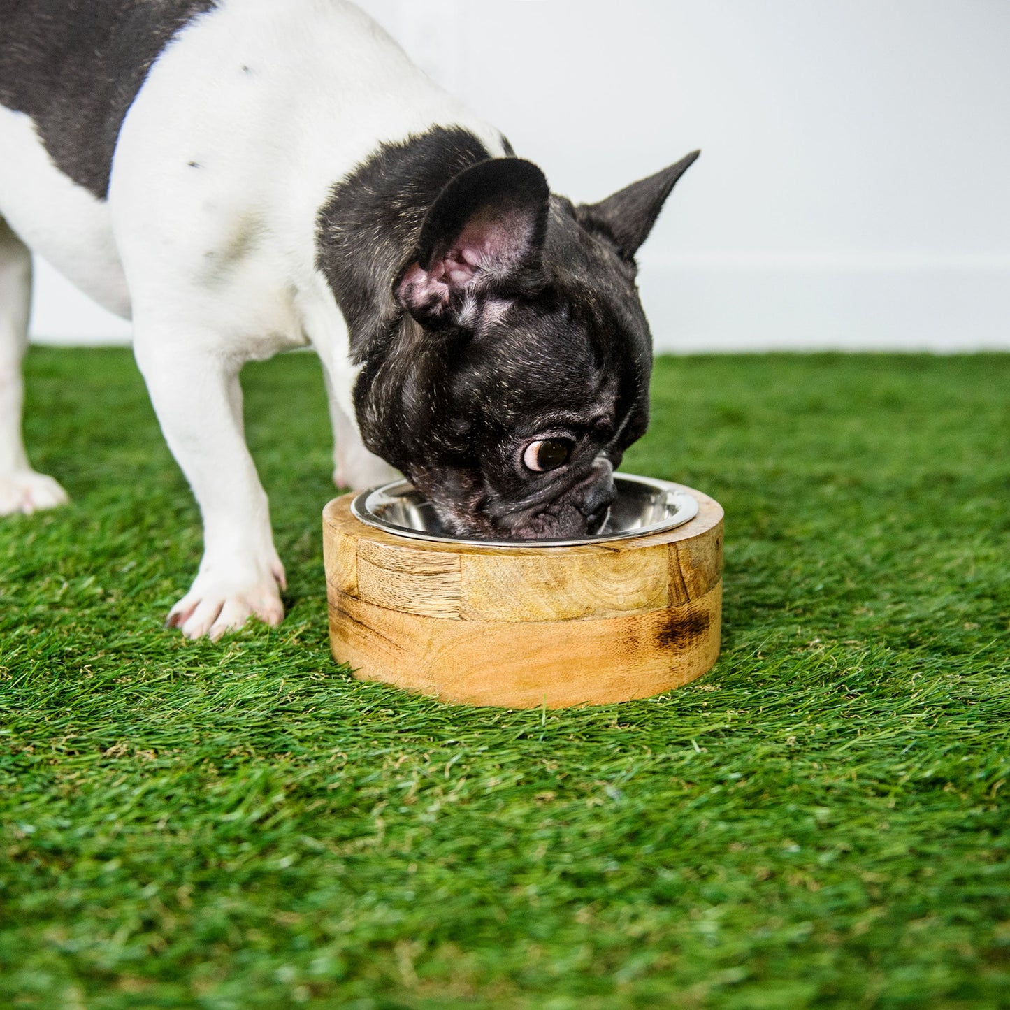 Mango Wood Pet Bowl